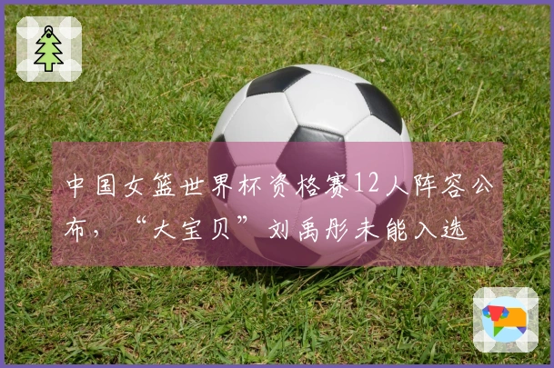 中国女篮世界杯资格赛12人阵容公布，“大宝贝”刘禹彤未能入选